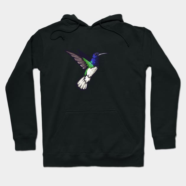 White-Throated Jacobin Hoodie by Ginboy